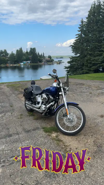 2006 Harley soft tail deuce with only 8590 miles on it for sale. Runs really good, very good shape f...