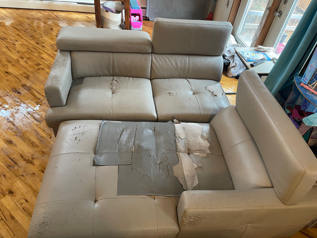 Free Couch in Free Stuff in Edmonton
