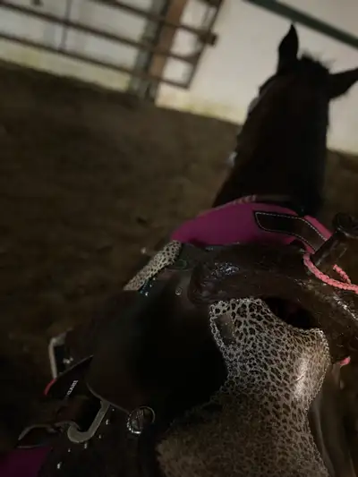 Fallon Taylor Dynamic Edge Barrel Saddle, View more