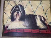 Picture of a Shih Tzu dog,  Victorian style 