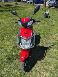 Emmo Hornet electric scooter 
