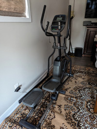 Horizon Elliptical