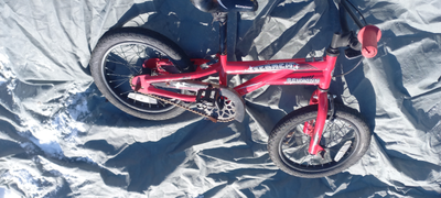 I deliver!  Red Schwinn Kid's Bike, View more