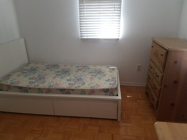 York University Rooms for Rent, from $650, Female Preferred in Room Rentals & Roommates in City of Toronto - Image 3