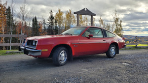 1980 Pontiac Sunbird Sport