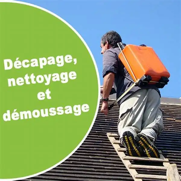 MAITRE COUVREUR MASTER ROOFER ROOF PATCH REPAIR ROOFING62863220217731122
