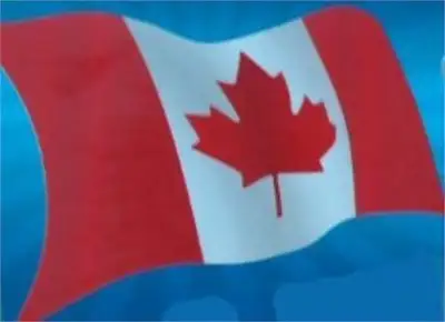 canada 3' x 5'  flag. only. $15 100% brand new., View more
