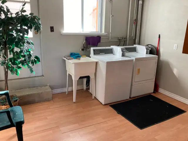 Room for rent in two bedroom apartment in Room Rentals & Roommates in Kitchener / Waterloo - Image 9
