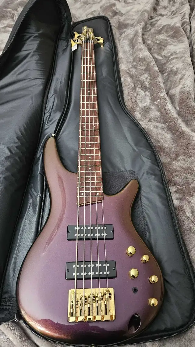 ibanez 5 string willl SACRIFICE for $400 64872057656705121