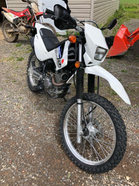 Suzuki Dr200s