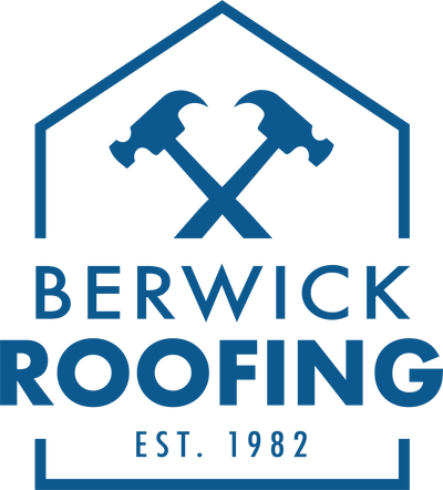 Rooftop Snow Removal/Ice Dam Clearing, View more