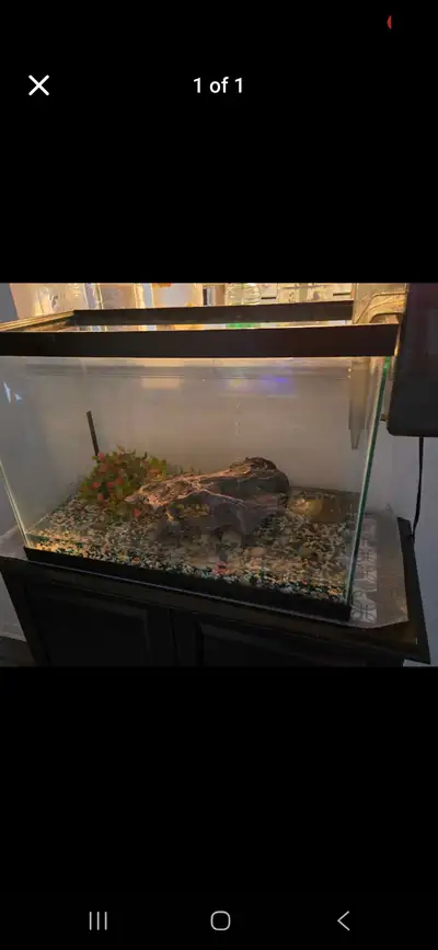 30g aquarium, View more