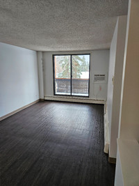 NW Regins Apartment for Rent  Immediately