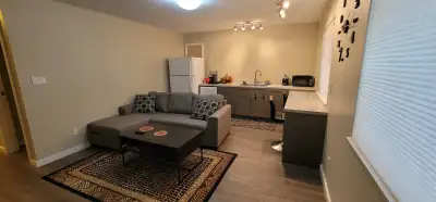 One Bedroom Furnished Walkout Basement available from July 1, 2025 in Whistle Bend near Whistle Bent...