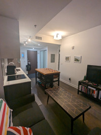 Downtown (199 Slater) - Studio Apartment for Rent