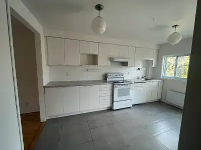 4 1/2 Appartement à Louer 2 Chambres 1 SDB