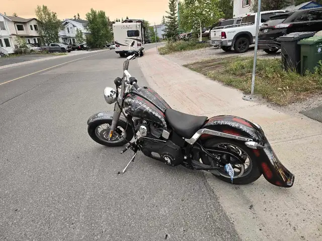 Custom Harley Softail in Street, Cruisers & Choppers in Edmonton - Image 3