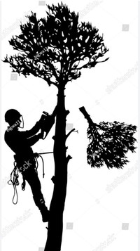 Tree cutting & removal