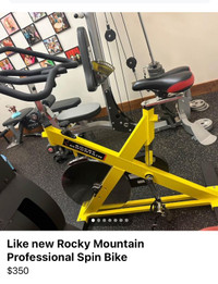 Like New- Professional Rocky Mountain Spin Bike