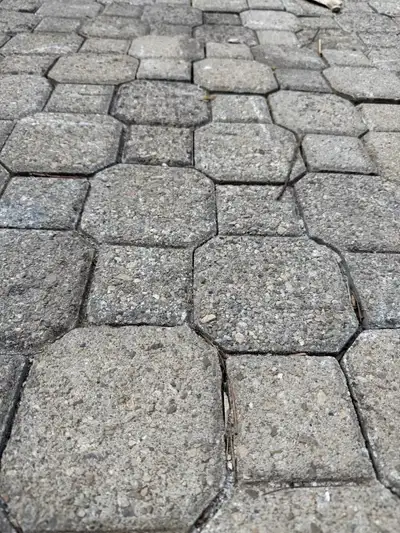 FREE  interlock!!, View more