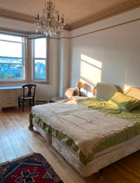 Room for sublet Downton Montreal