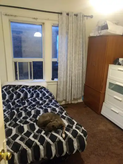 Furnished room in house shared with dad and 8yr old daughter