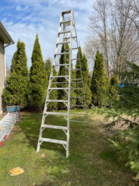  12 foot step ladder. 