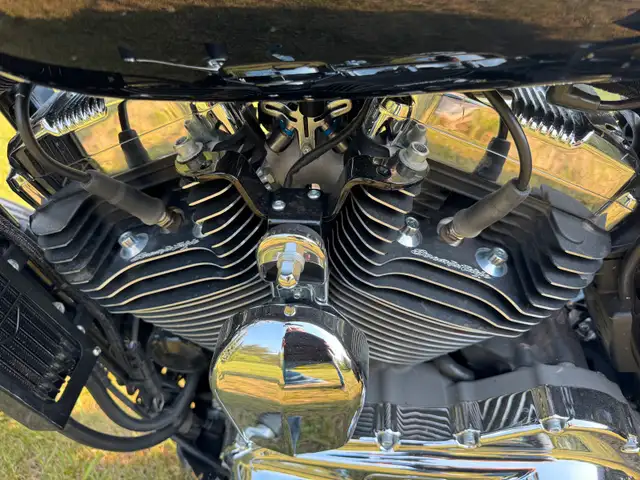 2016 Harley Davidson Sportster 1200V in Street, Cruisers & Choppers in Edmonton - Image 5