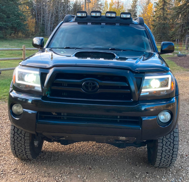 2009 Toyota Tacoma TRD Off-road in Cars & Trucks in Edmonton - Image 3