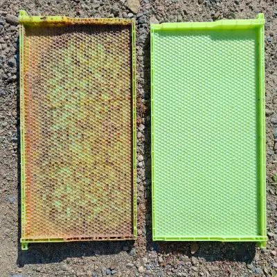 100 Cadres verts à Faux-bourdons, View more