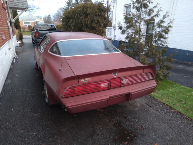 1979 - 1981 FIREBIRD PART OUT in Auto Body Parts in Mississauga / Peel Region