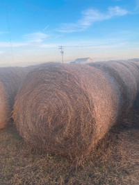 Horse Quality Hay $150