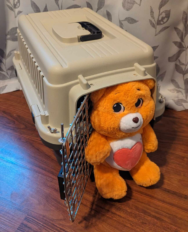 Pet Carriers (x2 incl) in Other in Kitchener / Waterloo