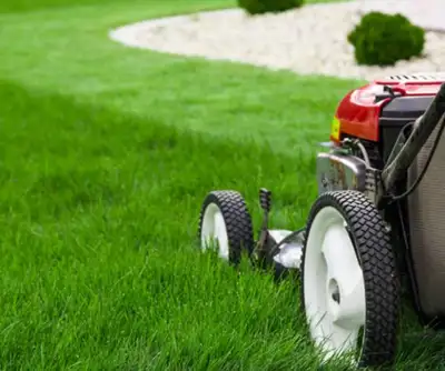 We do complete lawn care, personalized and customized service including Mowing, Edge trimming and fu...
