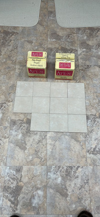Bathroom wall or floor tiles 53 tiles