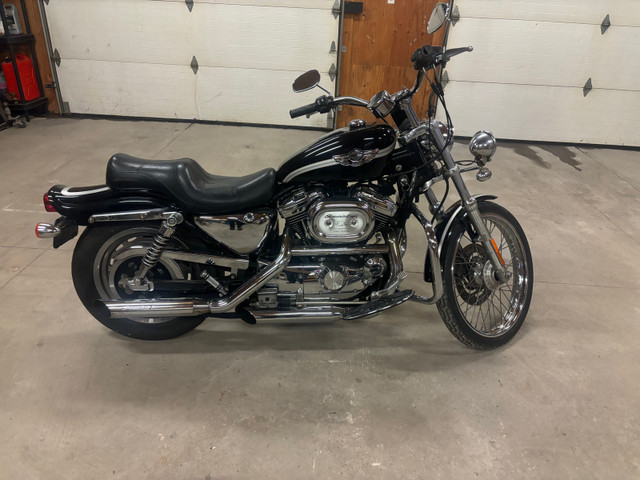 2003 Harley Davidson 1200  XL  in Sport Touring in Napanee - Image 4