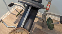 Weight Bench with weights