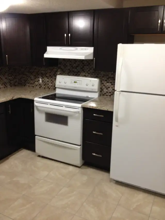 2 bedroom bi level basement for rent in castleridge from Sep 15
