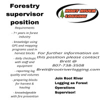 Forestry supervisor 