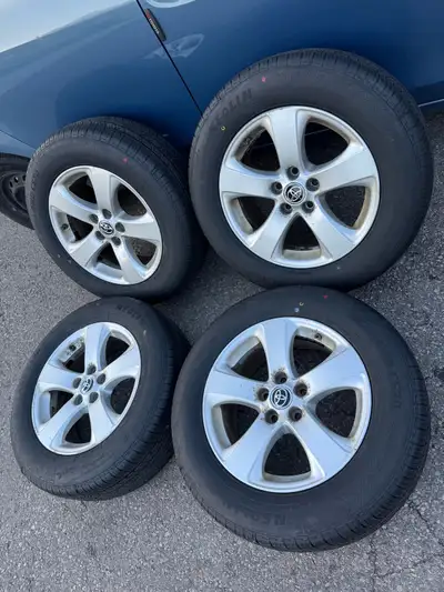 You can use them on a 2006-2026 Toyota RAV4, or 2004-2026 Toyota Sienna, or Highlander 2007-2013 or...