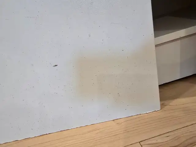 Cabinet, bookshelf, organizer with door in Bookcases & Shelving Units in Ottawa - Image 7