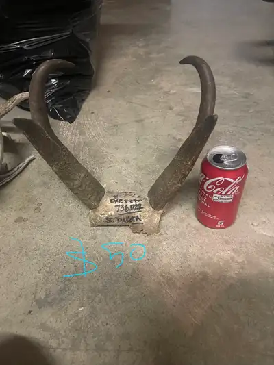 deer antlers, View more