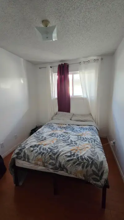 Furnished room near downtown and Sait