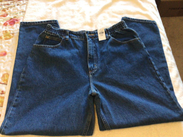 LL Bean size 12P jeans new with tags in Women's - Bottoms in Dartmouth - Image 3