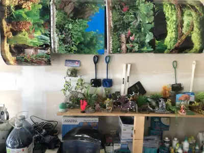 I'm selling a variety of used fish tank accessories, perfect for setting up or enhancing your aquari...