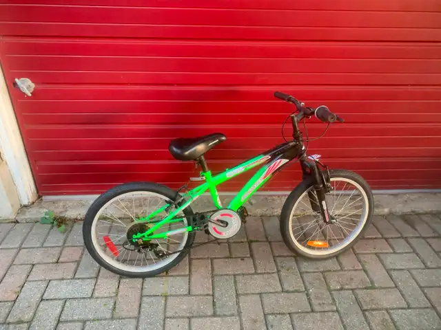 Bicycles and snowblowers for sale July 11  385 Dunvegan Drive. in Other in Kitchener / Waterloo - Image 6