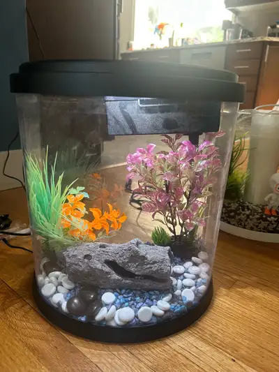 Top Fin Aquarium, View more