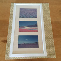 Hokkaido Furano Lavenders Japan Postcard Picture Framed Picture