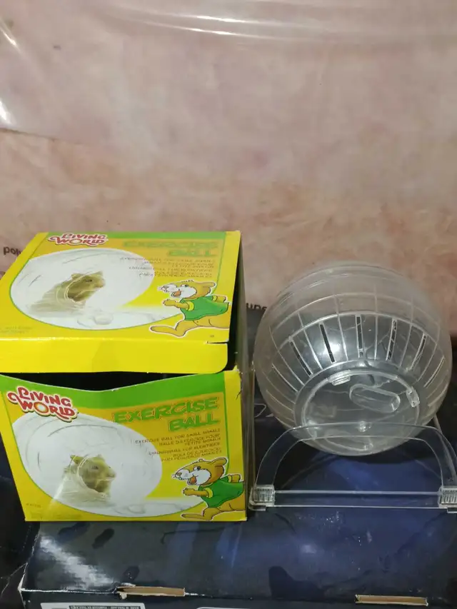 exercise ball for small animal in Accessories in City of Toronto - Image 2