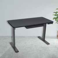 Motionwise SDG48B Electric Standing Desk, 24”x48 Home Office Ser